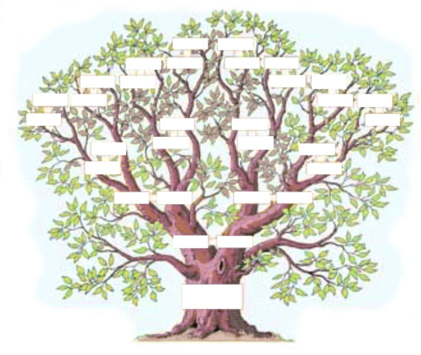 exemple-arbre